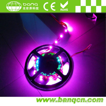 Flexible Waterproof 5050 SMD RGB Chase LED Strip---Color Moving (STC3-S30-12)